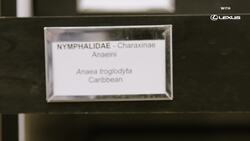 Behind the Scenes at the National Museum of Natural History Instructional Video