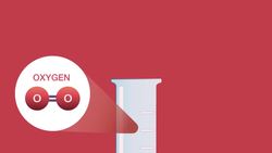Testing For Hydrogen, Oxygen, Carbon Dioxide & Chlorine Instructional Video