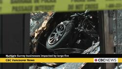 Two businesses destroyed in Surrey fire News Clip