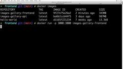 The Complete Practical Docker Guide - Running Docker Container for the Frontend Service Instructional Video