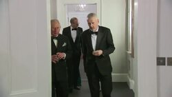 Prince Charles and Camilla at Irish Embassy reception News Clip