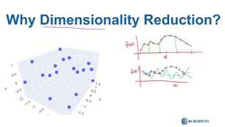 Data Science and Machine Learning (Theory and Projects) A to Z - Features in Data Science: Why Dimensionality Reduction Instructional Video