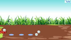 The Fascinating World of Ants: How and Why They Walk in a Line Instructional Video