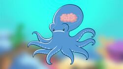 I WONDER - Do Octopi Remember People? Me Pregunto - Los Pulpos Recuerdan A Las Personas? Instructional Video