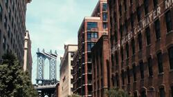 Brooklyn: A Multicultural Hub Instructional Video