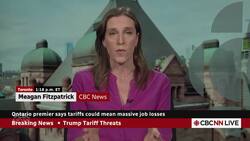 Ontario premier says tariffs could mean massive job losses News Clip
