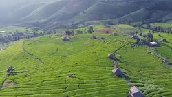 Aerial view from drone paddy terraces field with hut in green season of Thailand. Stock Footage