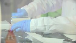 Scientists doing COVID tests in a lab News Clip