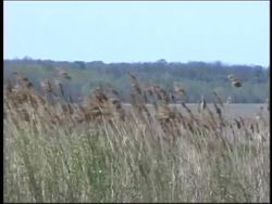 Weather in Action: Fronts Instructional Video