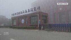 WHO team mum after visit to China's Wuhan Institute of Virology News Clip