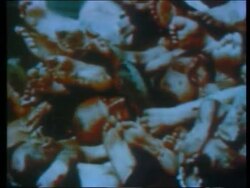 End of the Second World War celebrations, German civilians forced to see the aftermath of Nazi crimes, Berghof destroyed Stock Footage