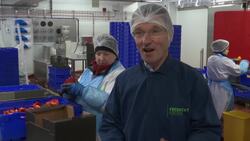 UK businesses gearing up for 'No Deal' disruption Instructional Video