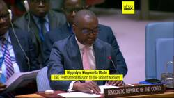 MONUSCO chief lauds DRC-Rwanda peace deal News Clip