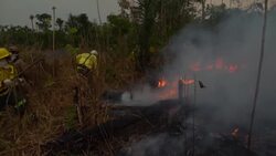 Firefighters struggle to contain Amazon fire Instructional Video