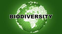 Understanding Biodiversity: Nature's Rich Tapestry Instructional Video