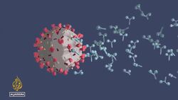 UK pledges $18m to vaccine research in Senegal after US funding cuts News Clip