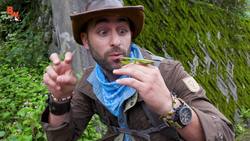 ALIEN or INSECT? Instructional Video