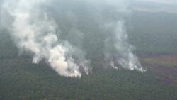 Forest burns in Brazil's Amazon Instructional Video