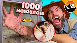 Bitten by 1000 Deadly Mosquitoes! Instructional Video