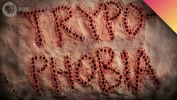 Are You Afraid of Holes? Instructional Video