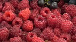 Rotating fresh raspberries and grapes background Stock Footage