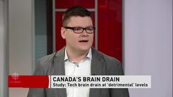 Brain drain News Clip