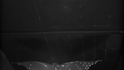 Batty for Bats - Science Nation Instructional Video