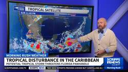 Gulf Coast urged to 'closely monitor' developing tropical system News Clip