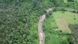 Aerial view of Creek river and green forest on the Mountain Stock Footage