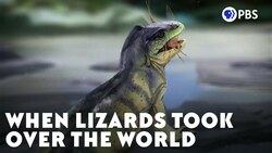 When Lizards Took Over the World Instructional Video