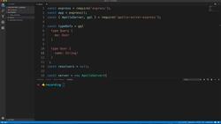 Practical GraphQL - Become a GraphQL Ninja - Basic GraphQL Queries and Types Instructional Video