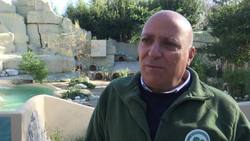 18 African penguins get a new home at Rome zoo News Clip