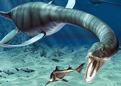 Predator X Instructional Video