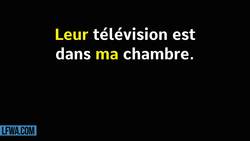 French Made Easy: How to say MY, YOUR, OUR, etc. (French Possessive Adjectives) Instructional Video