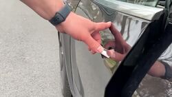 Mt. Vernon man's passion is improving relationships between people and their dogs News Clip