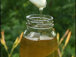 Las fases cambiantes de la materia: fases de la materia Instructional Video