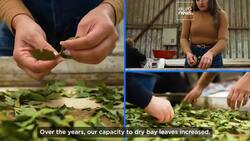 Watch: Ayşegül turning over a sustainable new leaf in Türkiye News Clip