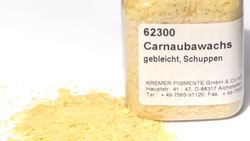 Exploring the Uses and Types of Wax Instructional Video