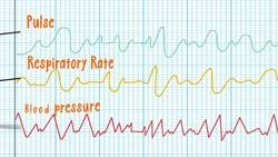 The Polygraph Machine: Detecting the Truth Instructional Video