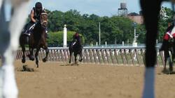 Triumph over tragedy, Andrew Lakeman's journey with horses Instructional Video