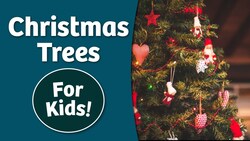 History of Christmas Trees for Kids | Bedtime History Instructional Video