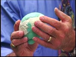 Prehistoric Man Human Evolution - What Skeletons Reveal Instructional Video