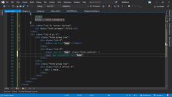 The Complete Guide to ASP.NET Core MVC (.NET 5) - Category Upsert View Instructional Video