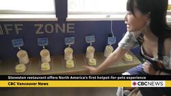 Restaurant in Steveston, B.C. offers North America's first hotpot-for-pets experience News Clip