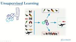 Data Science and Machine Learning (Theory and Projects) A to Z - Introduction to Machine Learning: Unsupervised Learning Instructional Video