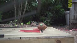 Giant Mouse Trap [Smashes Everything] Instructional Video