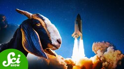 Space, Goats, and Climate Change Instructional Video