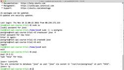REST APIs with Flask and Python - Setting up Your New User with PostgreSQL Permissions Instructional Video