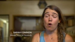 Beekeeping for the homeless Instructional Video