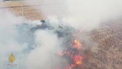 India's top court to hear plea to tackle Delhi air pollution News Clip